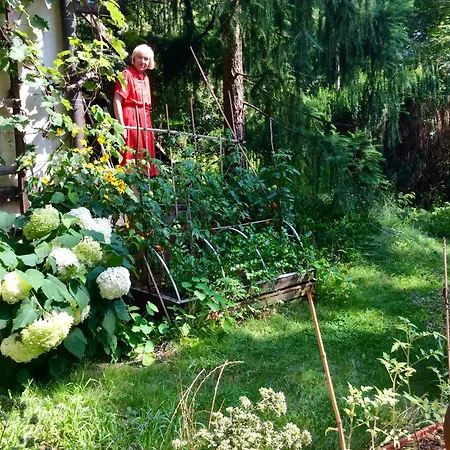 W Domu Z Ogrodem W Milanowku Apartman