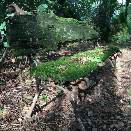 W Domu Z Ogrodem W Milanowku Apartman *