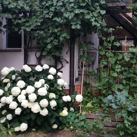 W Domu Z Ogrodem W Milanowku Apartman *