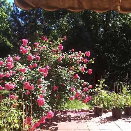 W Domu Z Ogrodem W Milanowku