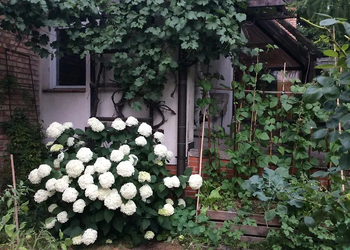 W Domu Z Ogrodem W Milanowku Apartment *