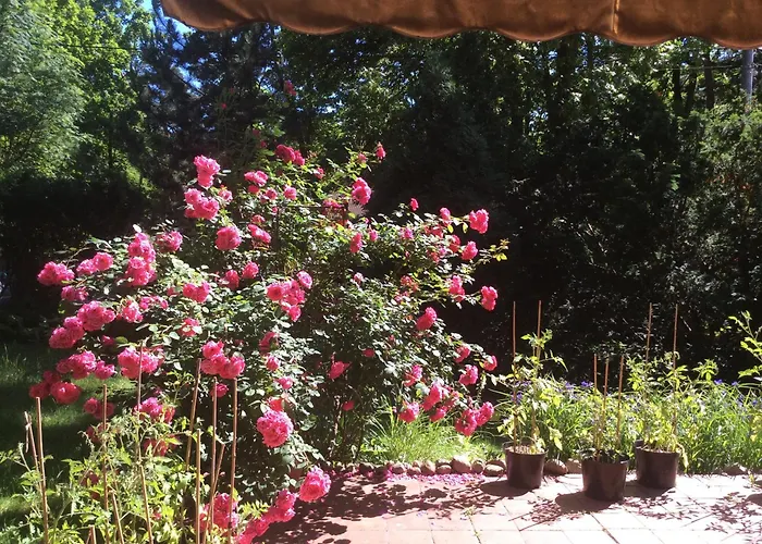 W Domu Z Ogrodem W Milanowku